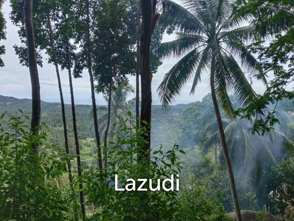 picture Seaview Jungle Land – Koh Phangan - 5/9