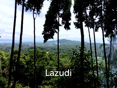 Land for sale Ko Phangan Surat Thani : Seaview Jungle Land – Koh Phangan