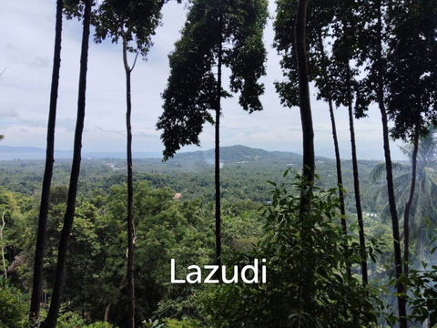 Seaview Jungle Land – Koh Phangan