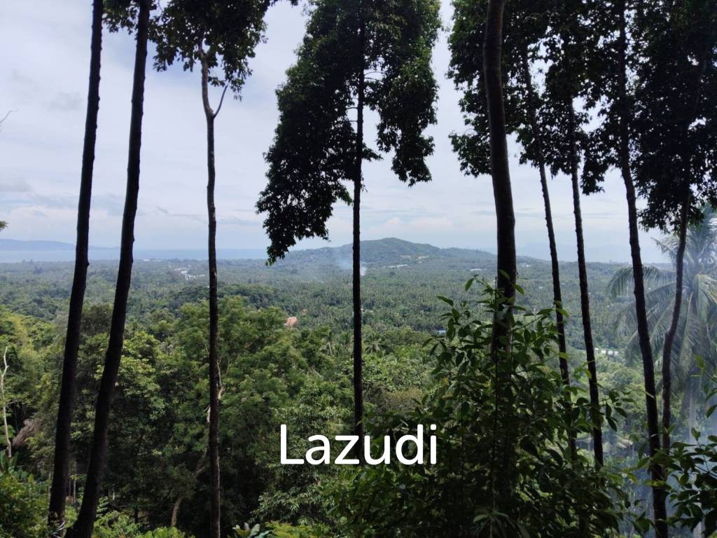 picture Seaview Jungle Land – Koh Phangan - 1/9