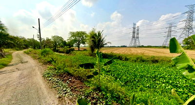 Land for sale : Land for sale, Nong Chok, Prachasamran Road 1 (Soi Khlong Sip Sam) **Only 1,875/square wa** (N.1716)