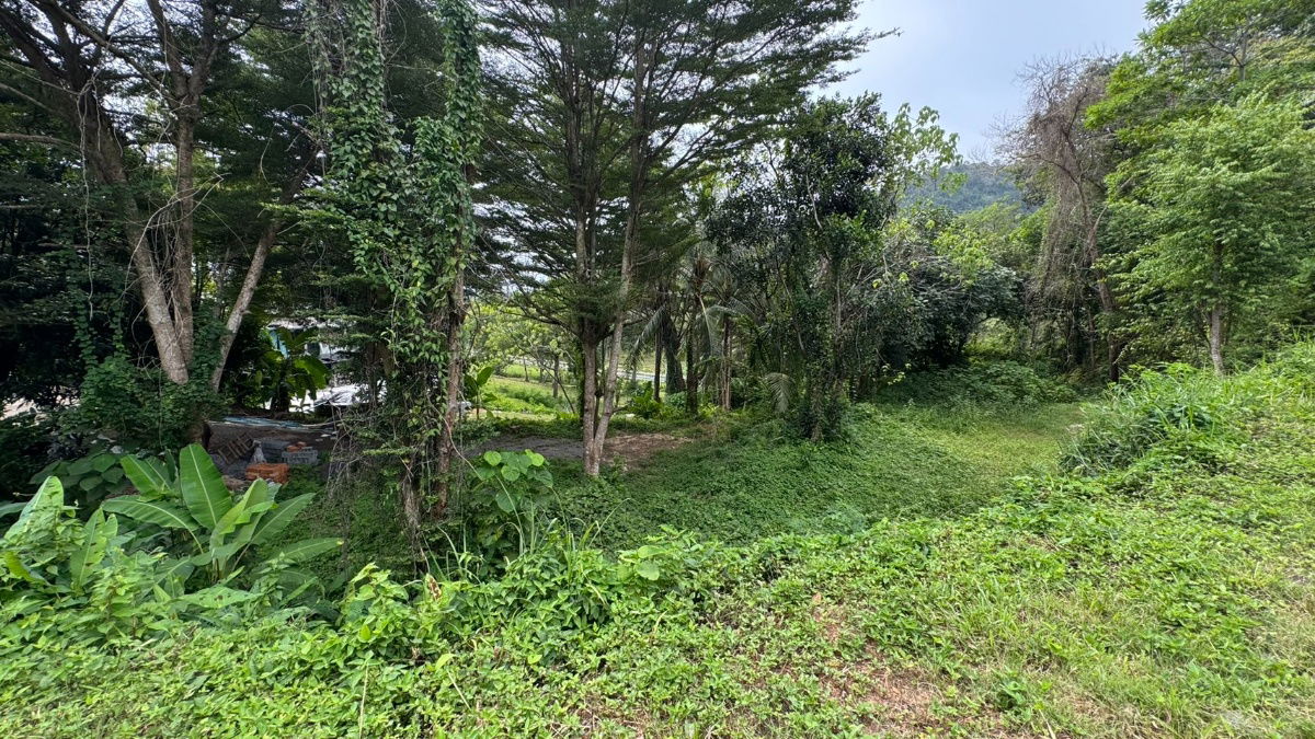 picture For Sale: Ananda Place Resort, Koh Kaew, Mueang District, Phuket Including an additional 1.5 rai of vacant land Total land area: Over 2.5 rai - 22/32