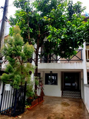 Townhouses for rent Baan Kang Wat : Townhouse for rent near wat umong,cmu