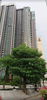 listing thumbnail image 11