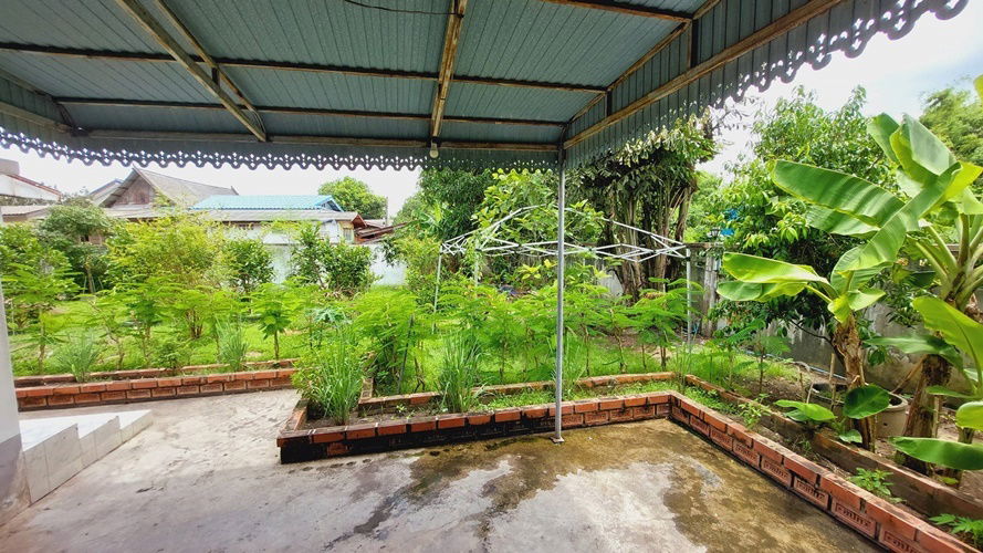 picture Single house for sale, Nong Chok, 300 square wah *only 9.8 million baht* (N.1676) - 7/12