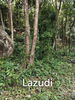 listing thumbnail image 8