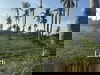 listing thumbnail image 9