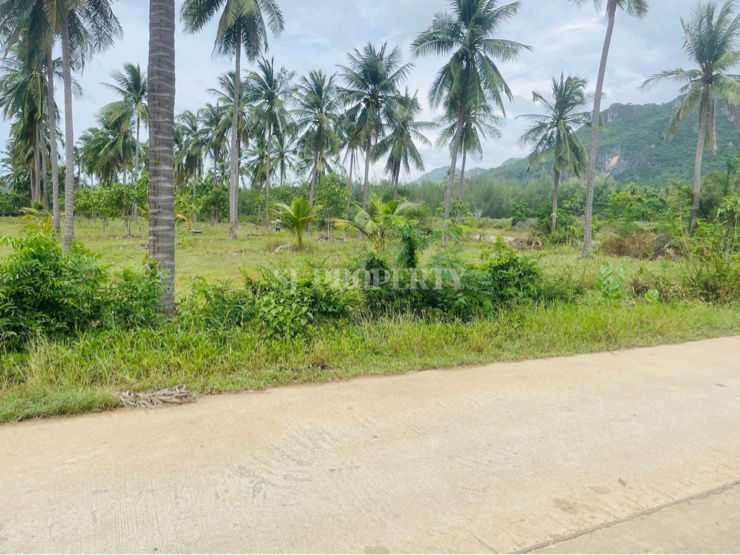 picture Land for sale in a prime location near the sea, suitable for investment, opening a house, pool villa or living - 3/9