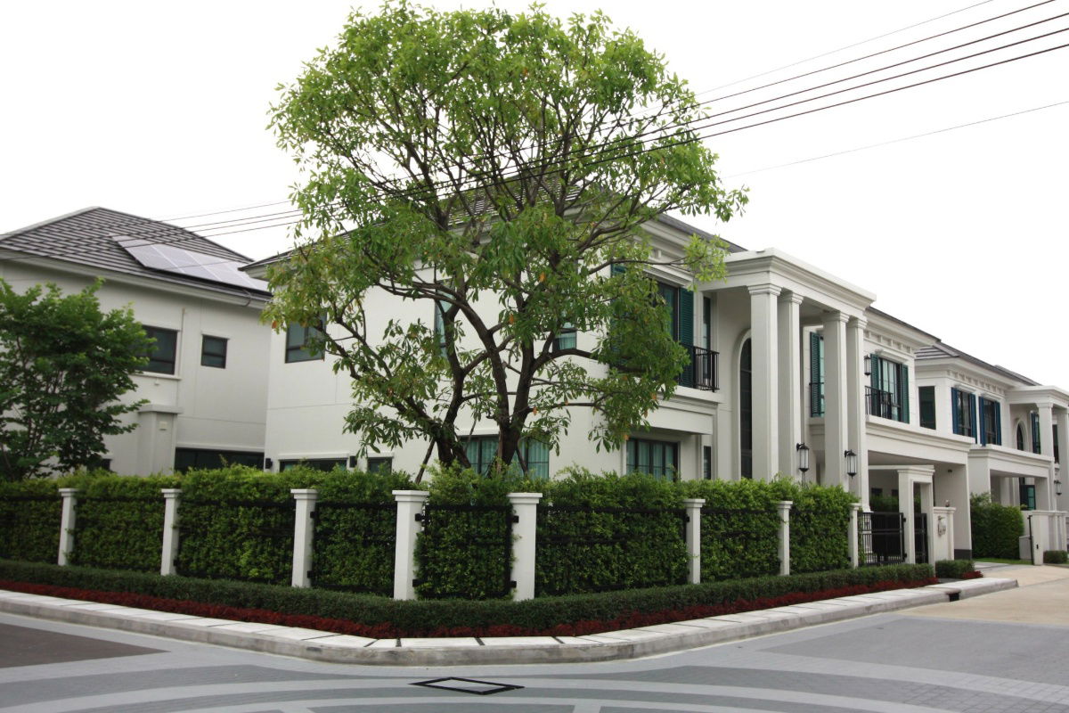 picture 🟢For Sale🟢New house, large size, Sutsasiri Bangna Km.10📱ADD LINE @nathong97 (reply ⚡ 24 Hr) P692 - 50/55