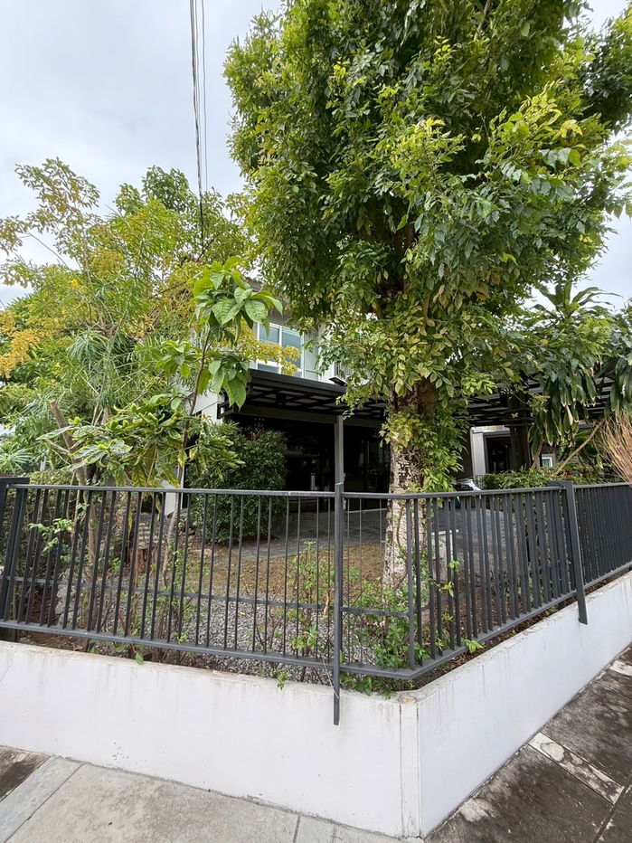picture ✨ For Rent: Corner Plot Detached House at Chaiyapruk Pinklao–Kanchanaphisek Ready to Move In - 29/31