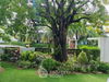 listing thumbnail image 15