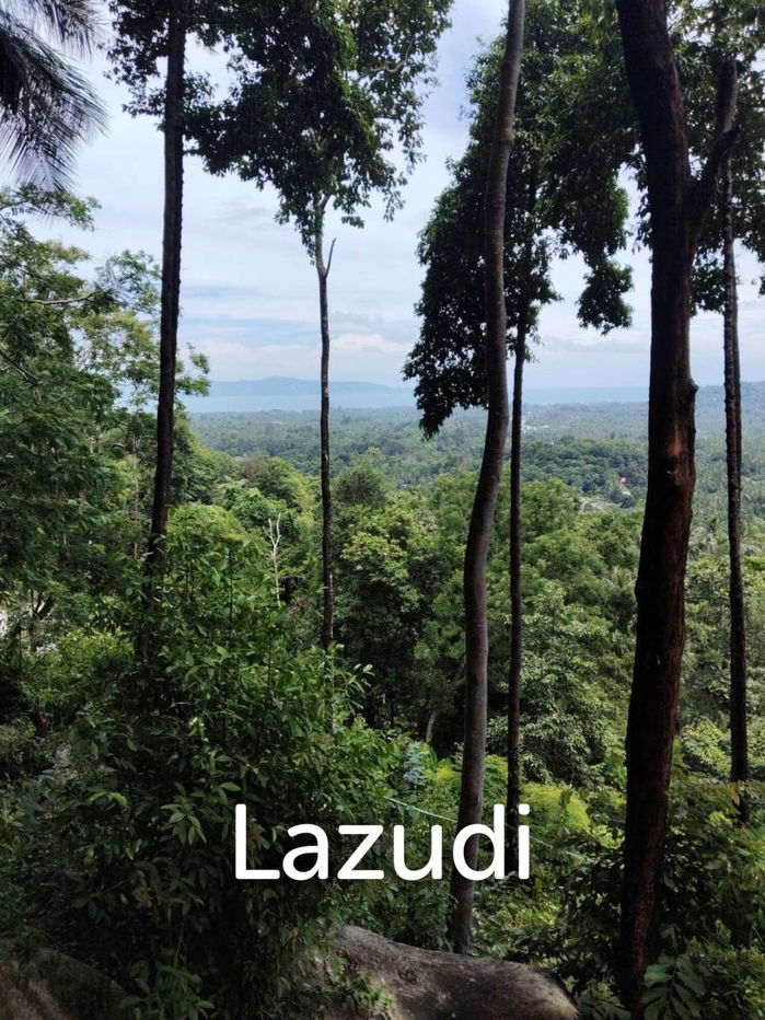 picture Seaview Jungle Land – Koh Phangan - 4/9