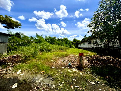 Land for sale Airport Link Lat Krabang : Land for sale, Soi Lat Krabang 3, size 371 sq m (Prachathorn Road), stream view (N.1380)
