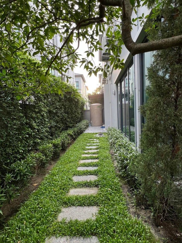 รูป 🏡 ขายบ้านแฝดหรู The Sonne ศรีนครินทร์–บางนา ✨ Duplex 3 ชั้น แปลงมุม ติดสวน + คลับเฮ้าส์ พร้อมเข้าอยู่! - รูปที่ 13/13
