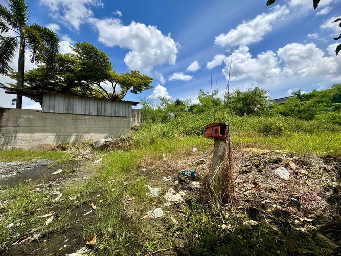 picture Land for sale, Soi Lat Krabang 3, size 371 sq m (Prachathorn Road), stream view (N.1380) - 5/6