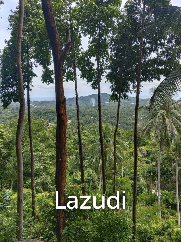 picture Seaview Jungle Land – Koh Phangan - 7/9
