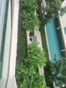 listing thumbnail image 10