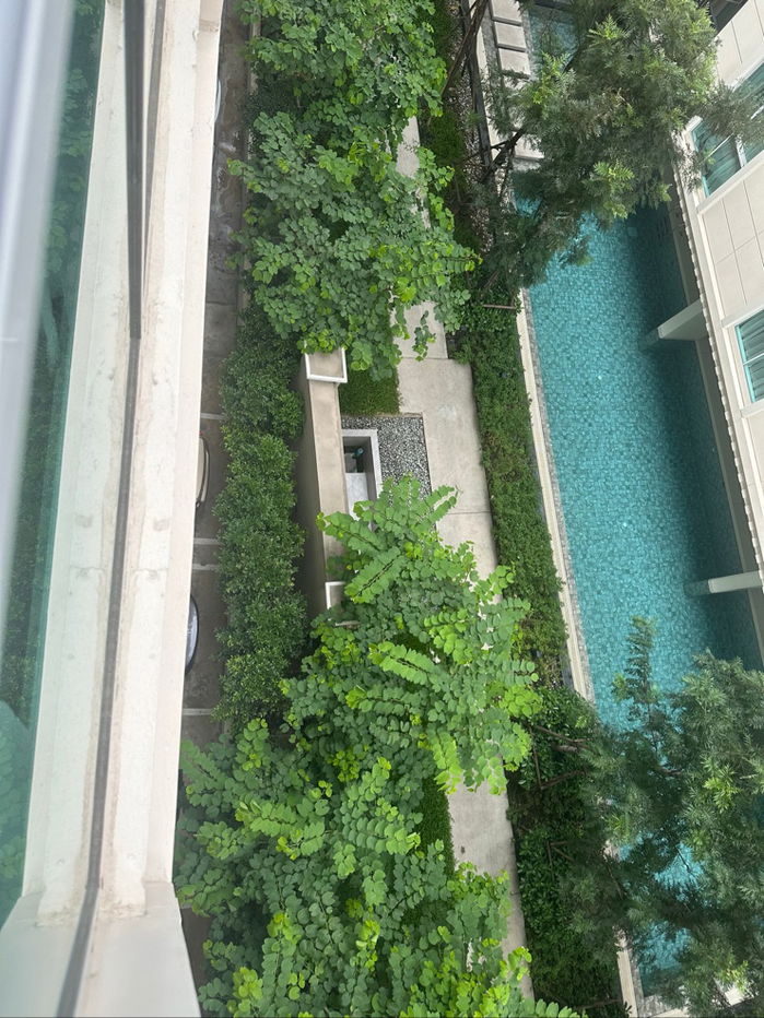 picture For rent Chateau In Town Ratcha Yothin - 11/12