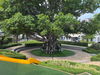 listing thumbnail image 18