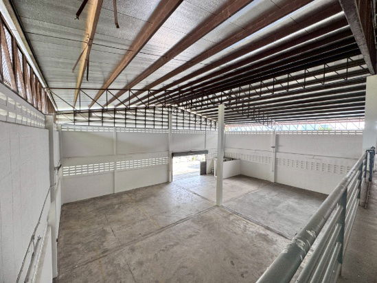 picture Warehouse for rent, Soi On Nut 66, with large office, 1400 sq m., very wide road, 100% excellent condition (N.1633) - 5/8