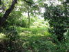 listing thumbnail image 29