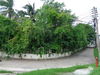 listing thumbnail image 11