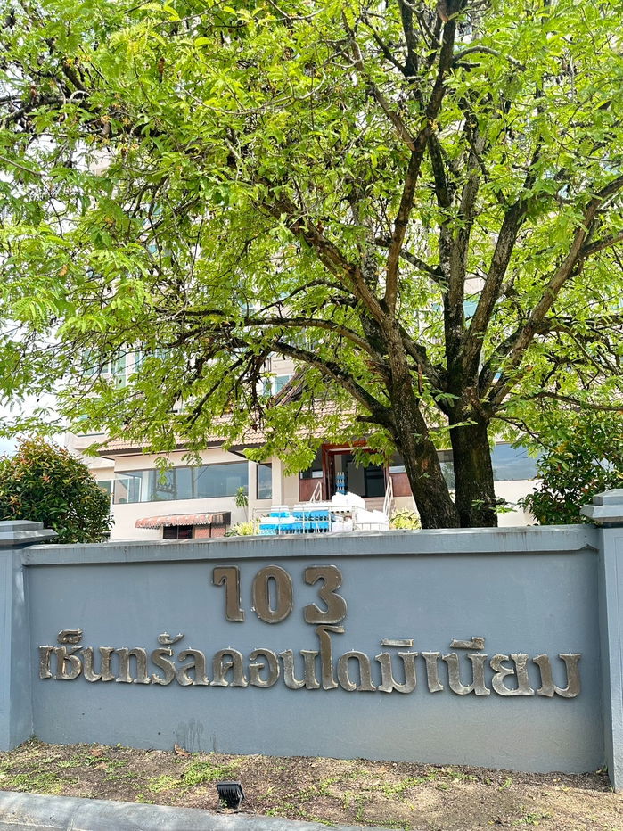 รูป ขายคอนโด 103 Central Condominium เจ้าของขายเอง - วิวทุ่งนา  เชียงใหม่ - รูปที่ 14/14