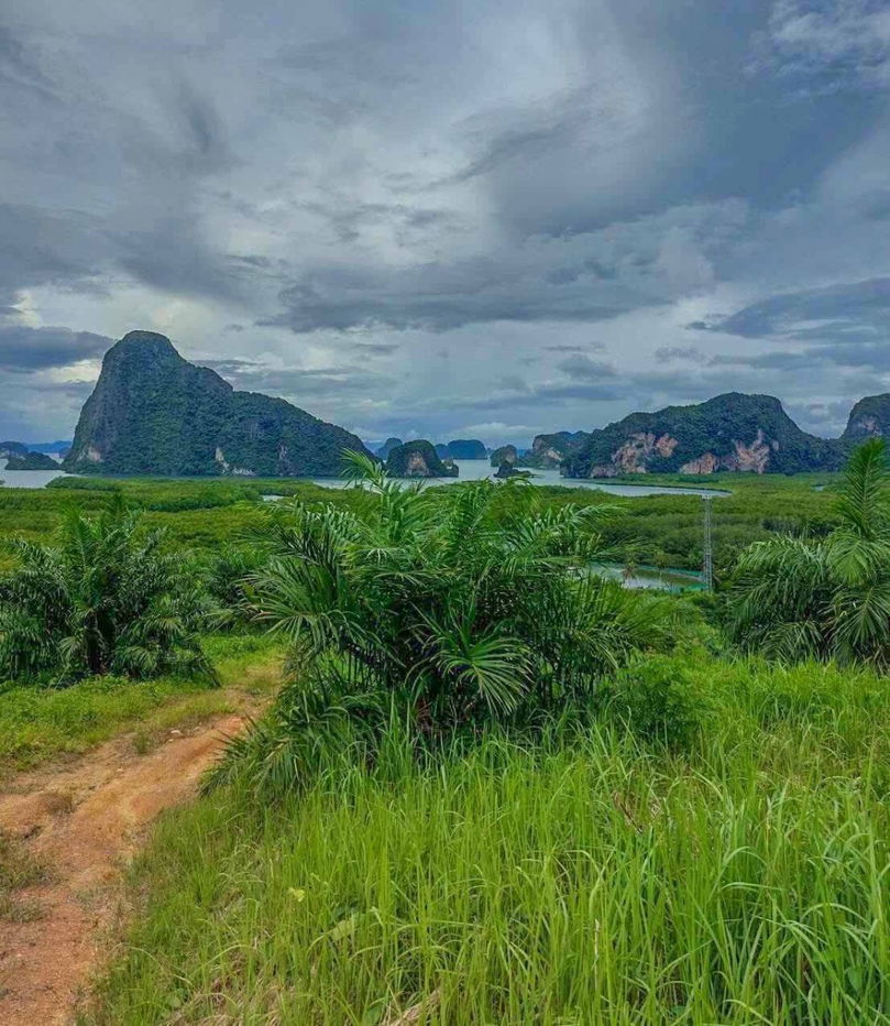 รูป ขาย ที่ดิน ขนาดใหญ่ 24 ไร่ 2 งาน 58. ตร.ว. คลองเคียน ตะกั่วทุ่ง จ.พังงา - รูปที่ 1/9