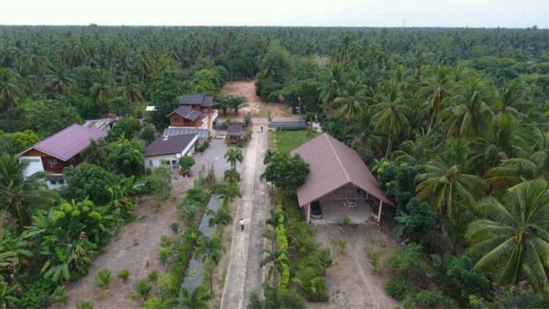 picture Call : 081-874-7072 Land with Thai-style house and coconut plantation, Samut Songkhram - 3/5