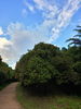 listing thumbnail image 4