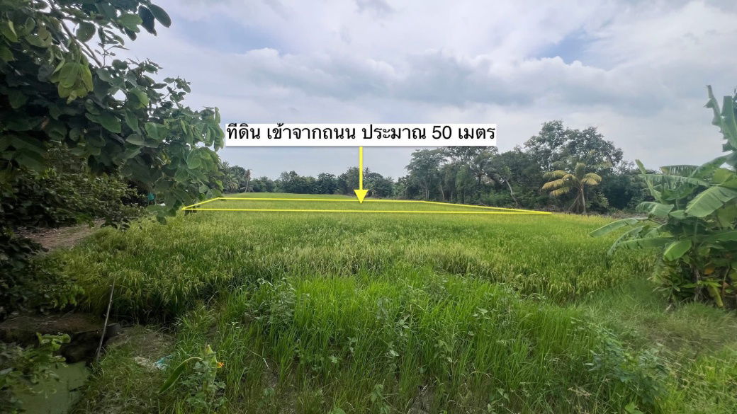 รูป ขายด่วน ลำลูกกาคลอง 16 นครนายก ตรวละ 3500 เหลือ 3000 เท่านั้น - รูปที่ 7/11