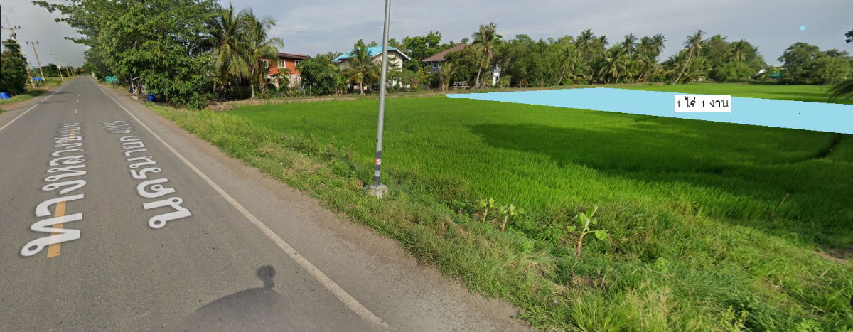 รูป ขายด่วน ลำลูกกาคลอง 16 นครนายก ตรวละ 3500 เหลือ 3000 เท่านั้น - รูปที่ 1/11