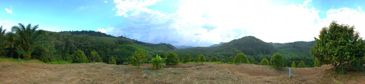 picture 130 Rai Fruit & Rubber Plantation for Sale in Ranong – Surrounded by Natural Stream - 3/5