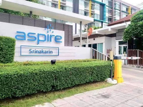 1 Bedroom Condo for Rent, Aspire Srinakarin, Swimming pool view, ready to move-in