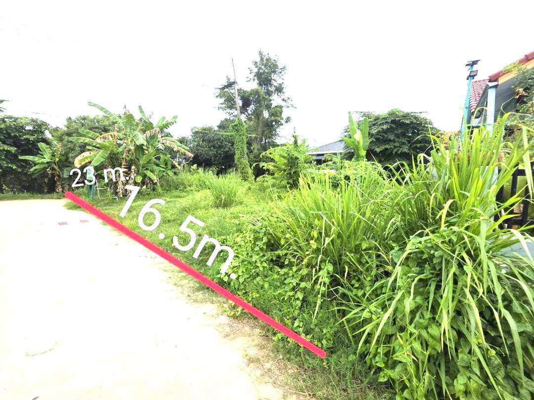 รูป โอกาสสุดท้าย! ขายที่ดินถมแล้ว แปลงมุม!! พัทยา ติดถนน 2 ด้าน !!!  ขายที่ดิน 83 ตรว.หนองหัวแรด 1,พัทยา(pattaya) ตำบล ตะเคียนเตี้ย อำเภอบางละมุง ชลบุรี - รูปที่ 5/16