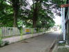 listing thumbnail image 13