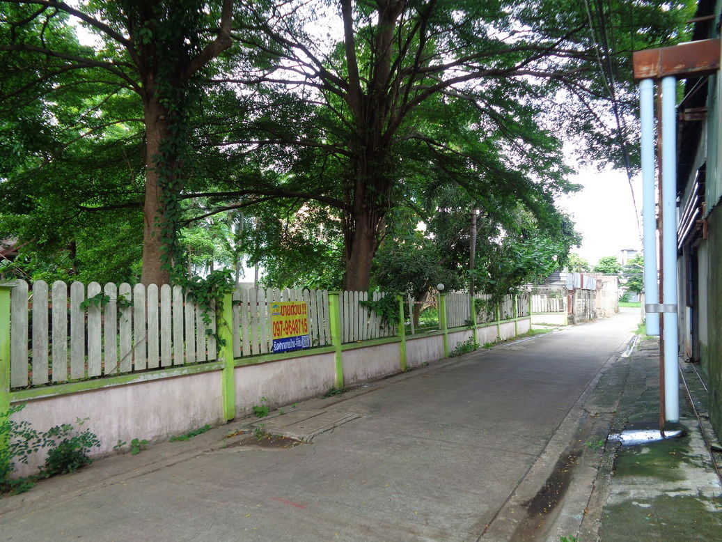 รูป 🚩 ขายที่ดิน 4 – 1 – 68 ไร่ ติดถนนท่ามะนาว ใกล้ที่ว่าการอำเภอชัยบาดาล ลพบุรี - รูปที่ 14/63
