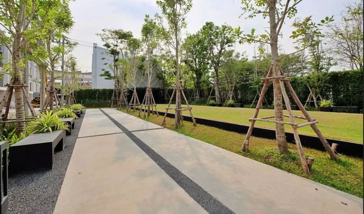 รูป 🏠 ให้เช่าบ้าน : Cordiz at Udomsuk (คอร์ดิซ แอท อุดมสุข)   รหัสทรัพย์ | 📌 LNP-H491  - รูปที่ 6/16