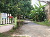 listing thumbnail image 40