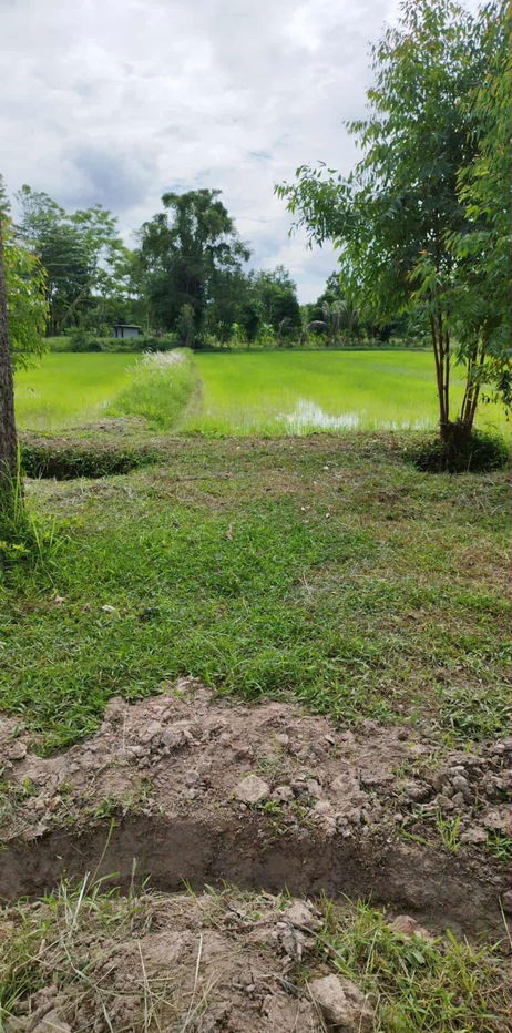รูป ขายที่ดิน 1 ไร่ ใกล้คำชะโนดจังหวัดอุดรธานี - รูปที่ 3/6