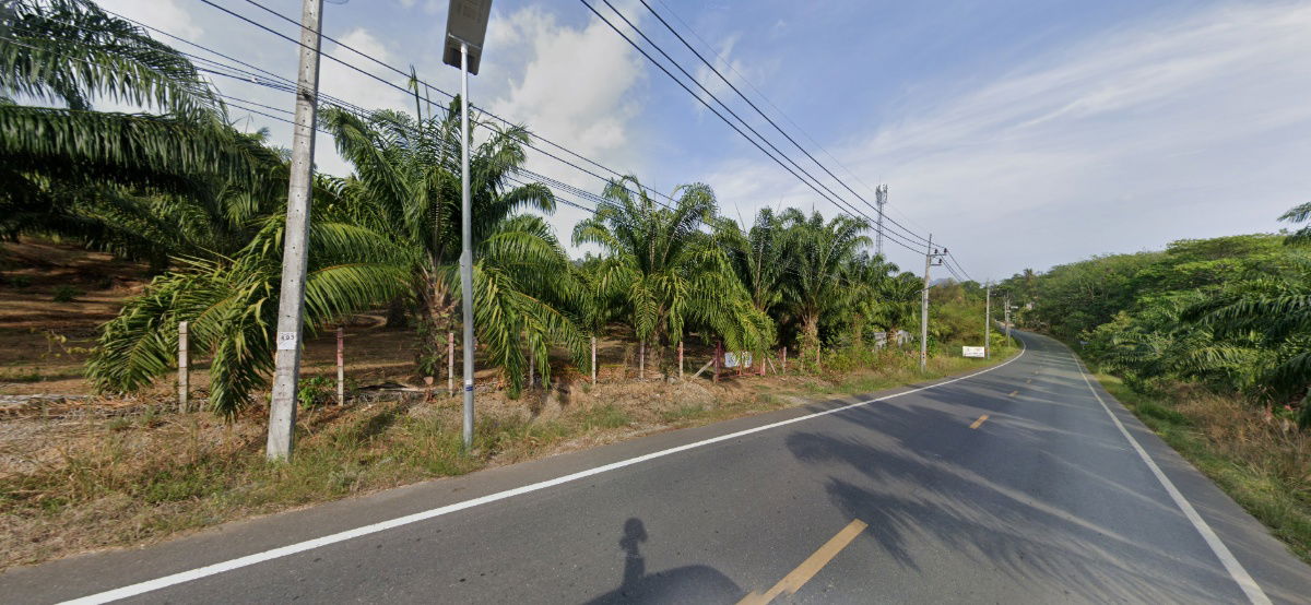 รูป ขาย ที่ดิน ขนาดใหญ่ 24 ไร่ 2 งาน 58. ตร.ว. คลองเคียน ตะกั่วทุ่ง จ.พังงา - รูปที่ 6/9