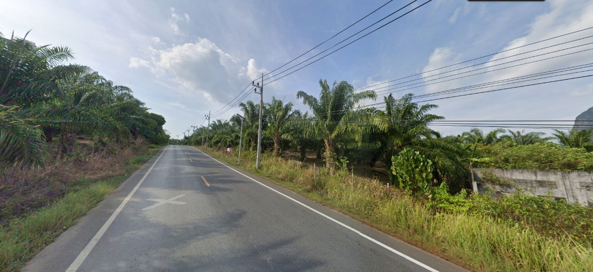 รูป ขาย ที่ดิน ขนาดใหญ่ 24 ไร่ 2 งาน 58. ตร.ว. คลองเคียน ตะกั่วทุ่ง จ.พังงา - รูปที่ 4/9