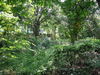 listing thumbnail image 30