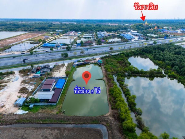 รูป ขายที่สีม่วง 3 ไร่ ผังอีอีซี ติดถนนเลียบมอเตอร์เวย์ ขาเข้ากรุงเทพ และ อยู่ติดนิคมบลูเทค ต.เขาดิน อ.บางปะกง จ.ฉะเชิงเทรา - รูปที่ 7/7