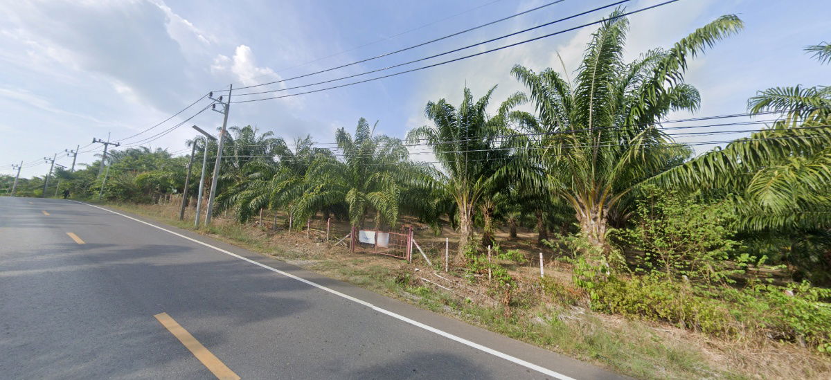 รูป ขาย ที่ดิน ขนาดใหญ่ 24 ไร่ 2 งาน 58. ตร.ว. คลองเคียน ตะกั่วทุ่ง จ.พังงา - รูปที่ 5/9