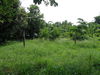 listing thumbnail image 23