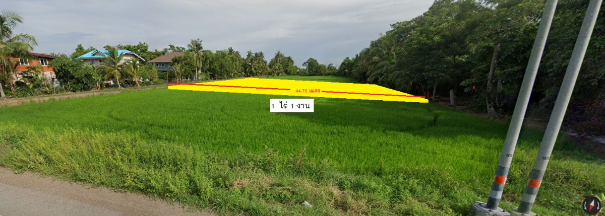 รูป ขายด่วน ลำลูกกาคลอง 16 นครนายก ตรวละ 3500 เหลือ 3000 เท่านั้น - รูปที่ 2/11