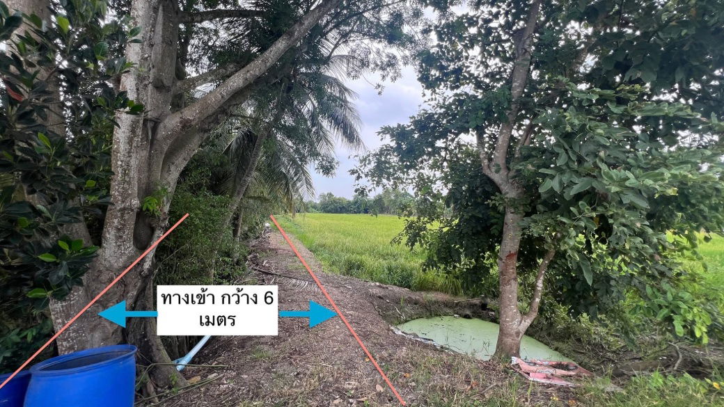 รูป ขายด่วน ลำลูกกาคลอง 16 นครนายก ตรวละ 3500 เหลือ 3000 เท่านั้น - รูปที่ 4/11