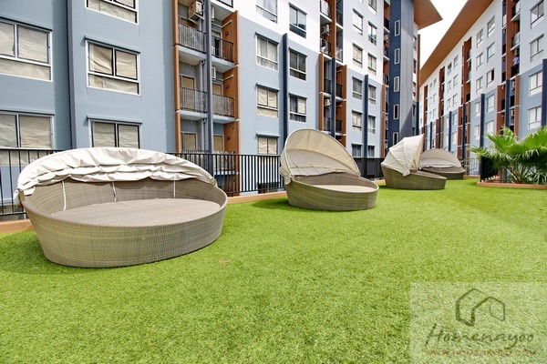 picture For rent Plum condo Bang Yai station 1 bed  fully furnish  - 20/20