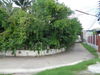 listing thumbnail image 10
